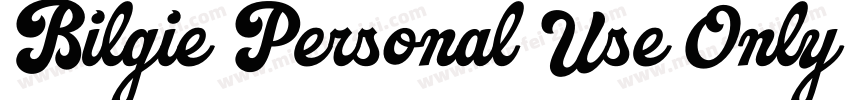 Bilgie Personal Use Only 0 Sample字体转换